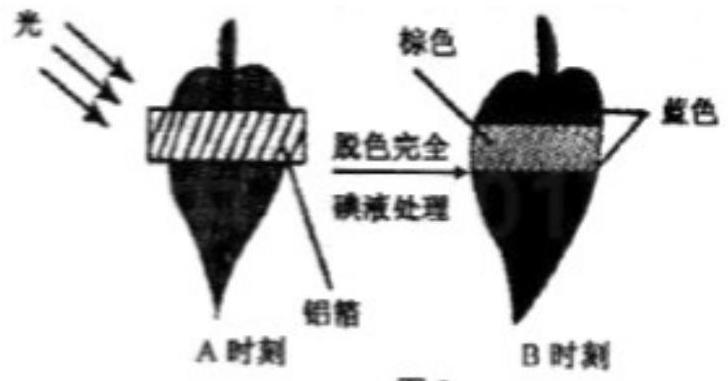 mp_ebdfff9638.jpg