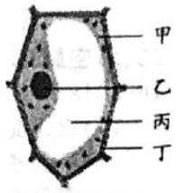 mp_ec65cf568c.jpg