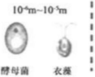 mp_ed887361cd.jpg