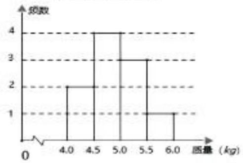 mp_ee5b596c53.jpg