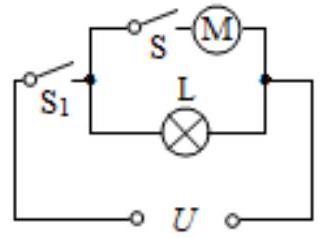 mp_ee5f0be8e6.jpg