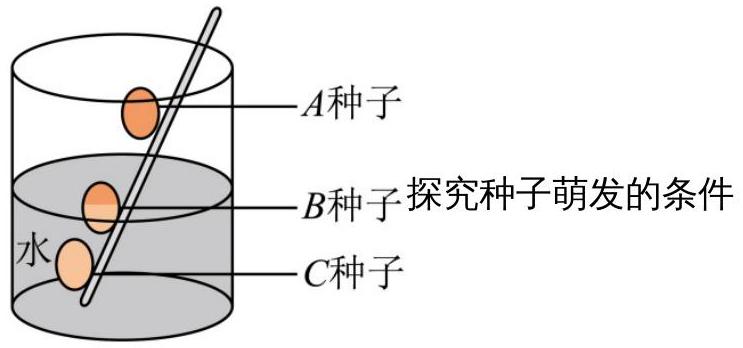 mp_efd078df38.jpg