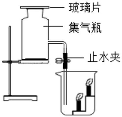 mp_f15620b6ad.jpg
