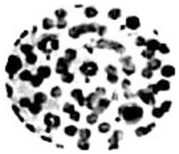 mp_f384b6cba3.jpg