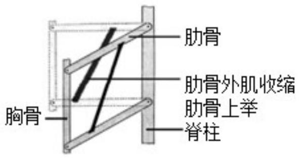 mp_f454724b70.jpg