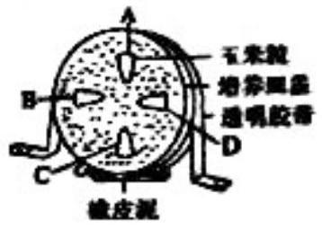 mp_f534148c05.jpg