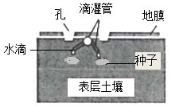 mp_f6cbb6d06e.jpg