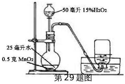 mp_f8320b1efa.jpg