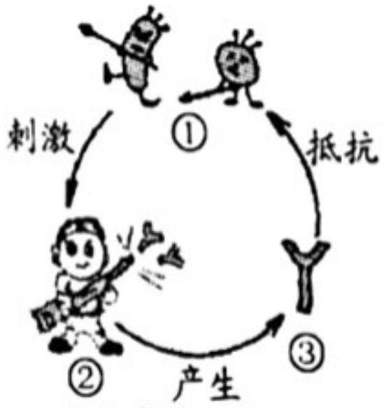 mp_f8a26c234a.jpg