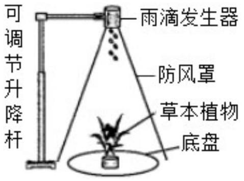 mp_f93a6d42ee.jpg