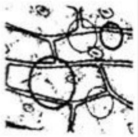 mp_f9f12027ed.jpg