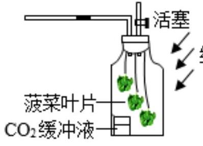 mp_fbc684c077.jpg
