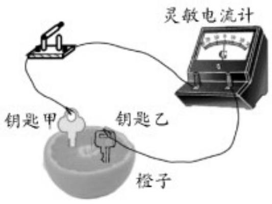mp_fdc58b6e10.jpg