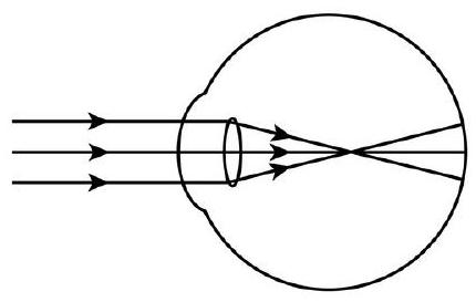 mp_ffae647ff6.jpg