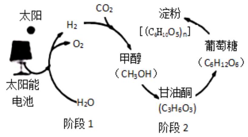 mp_ffdc100499.jpg