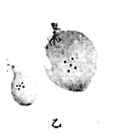 quzhou-kexue-2020_arc_q16_yi.jpg