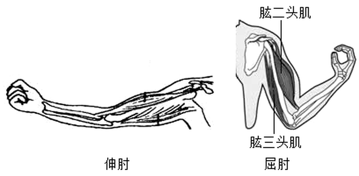 taizhou-kexue-2020_arc_q11.png