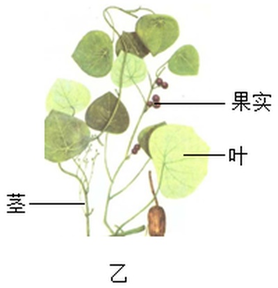 wenzhou-kexue-2022_arc_q16_yi.jpg