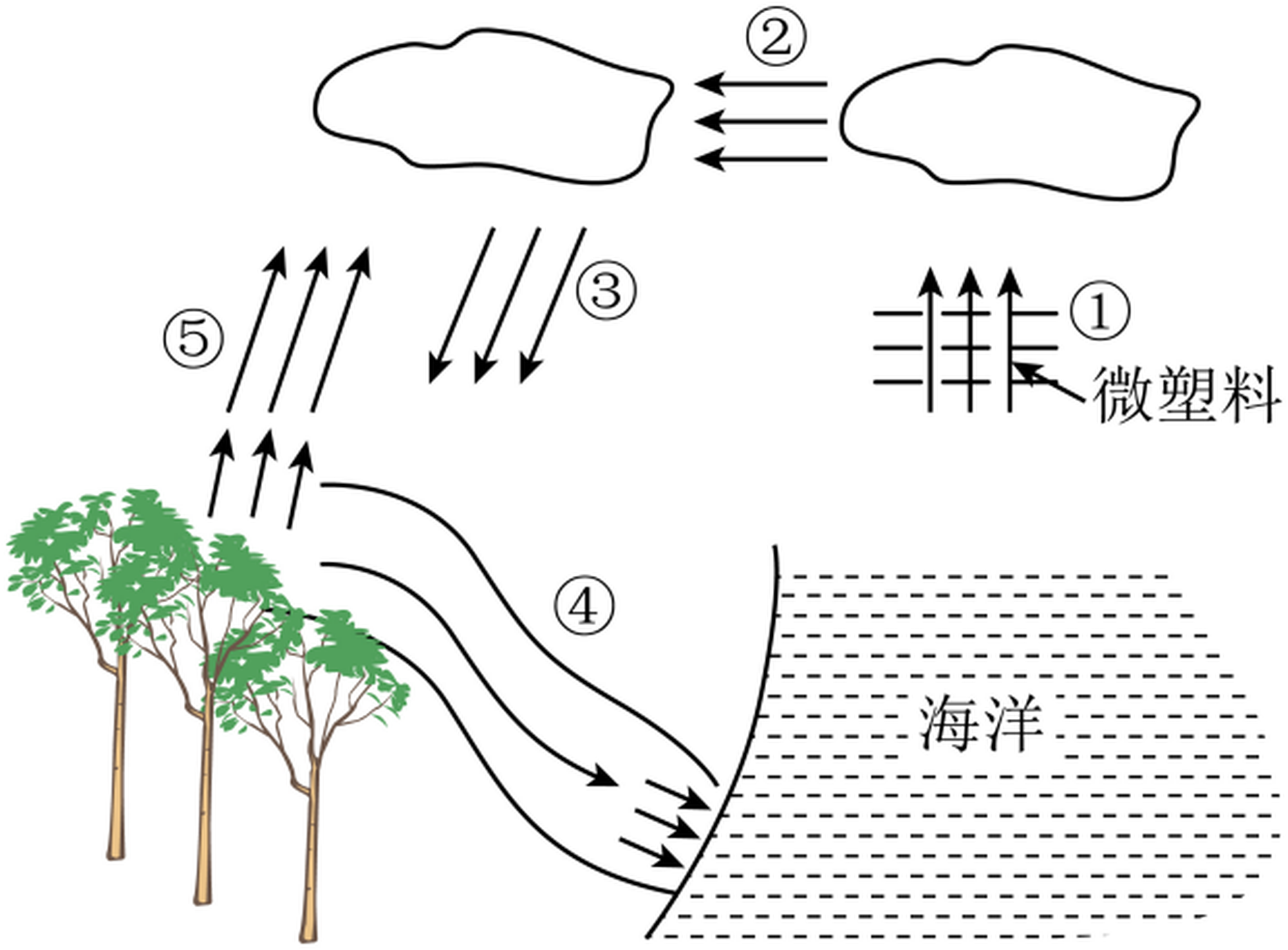 zhejiang-kexue-2025_arc_q17.png