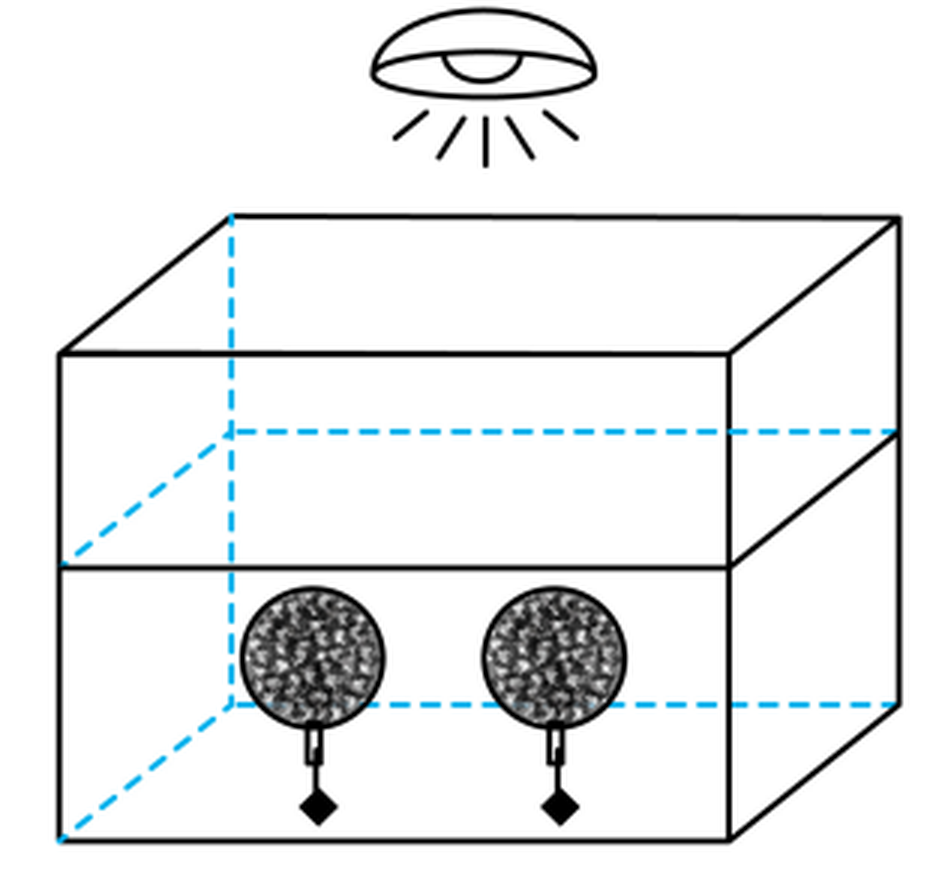 zhejiang-kexue-2025_arc_q9_optB.png