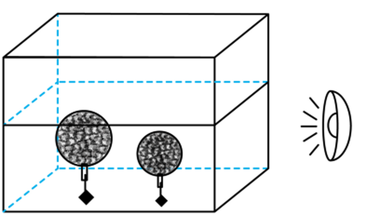 zhejiang-kexue-2025_arc_q9_optC.png