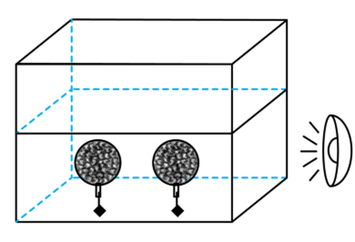 zhejiang-kexue-2025_arc_q9_optD.png